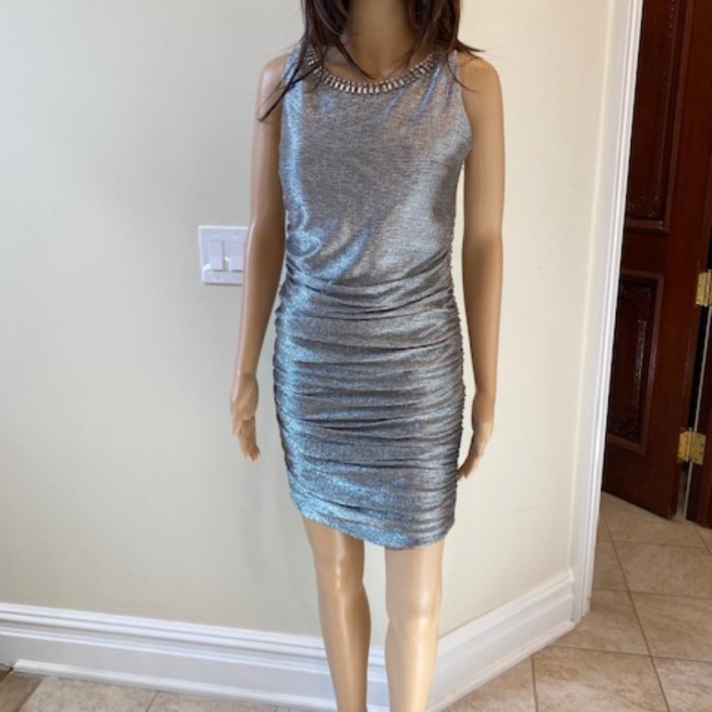 New Silver Metallic Stretch Dress.